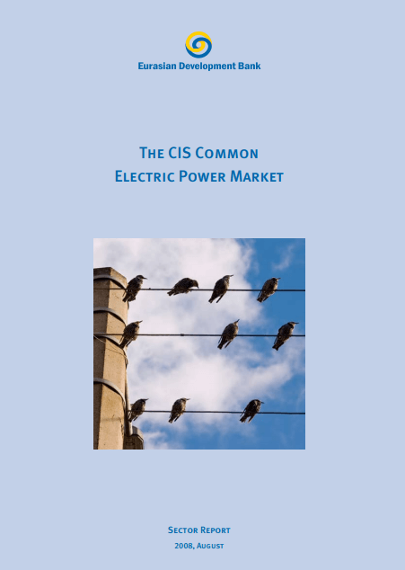 The CIS Common Power Market