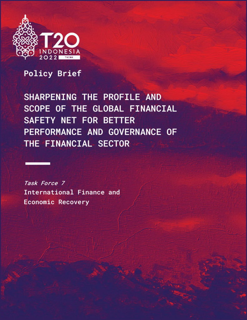 Sharpening the Profile and Scope of the Global Financial Safety Net for Better Performance and Governance of the Financial Sector